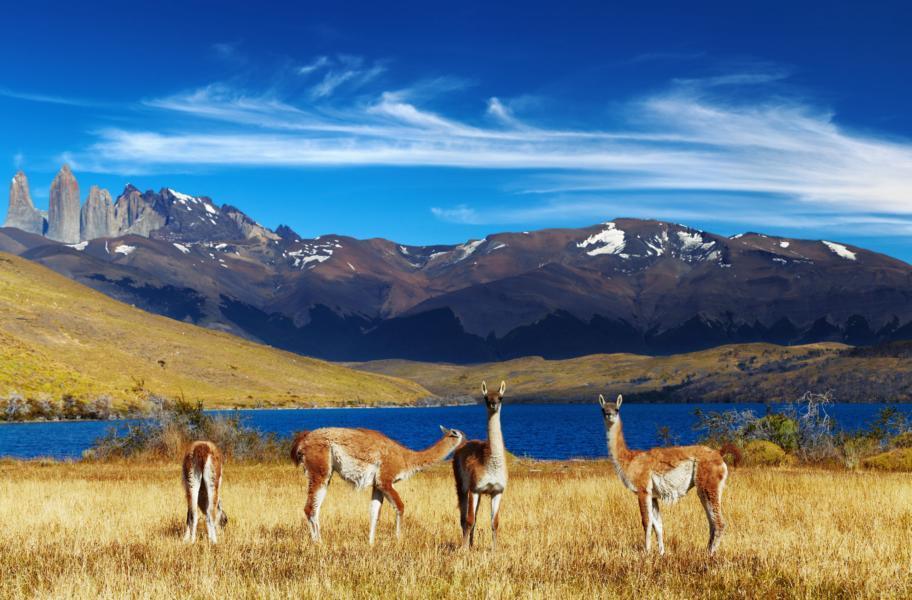 Chile: Die Wunder Patagoniens (14 Tage) Santiago de Chile