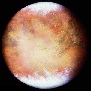 Venus Erde - Mars T 4 ( 1 α) /(4σ ) = S Venus: S v = 2623 Wm -2 α v