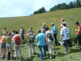 2012 in Vorarlberg: Artenvielfalt der Wiesen.