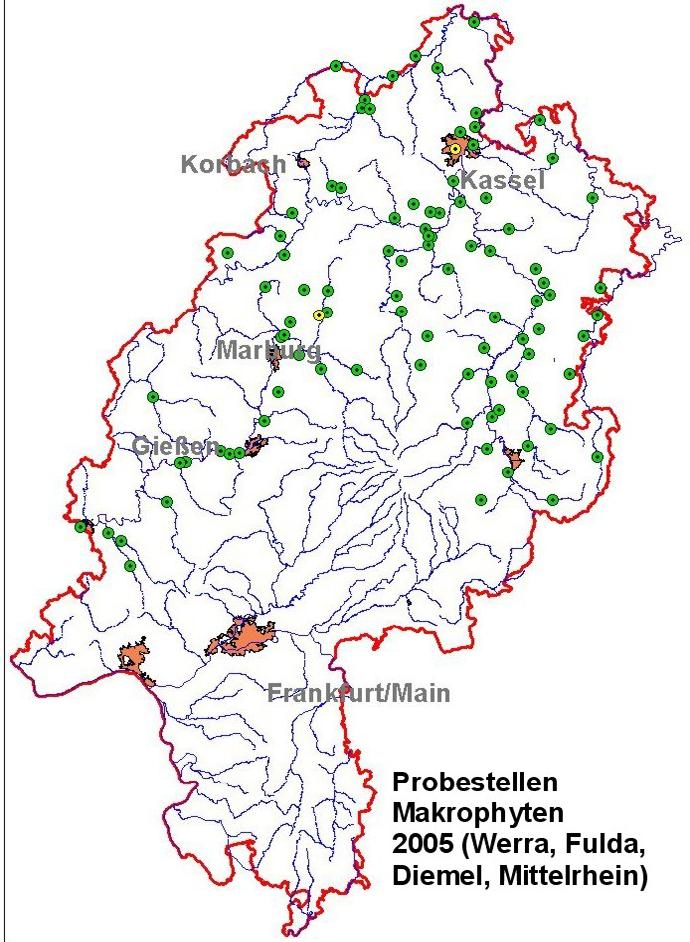 Probestellen Makrophyten insgesamt 94 Gewässerstrecken verschiedene Fließgewässertype n Typ Beschreibung 5 5 Bach, silkat/grundgebirge 56 5.