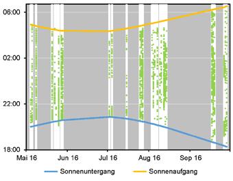 Abbildung 91: Zeitliche Verteilung der Rufaufnahmen der Zwergfledermaus über das Jahr (33 untersuchte Nächte; grau hinterlegt = nicht untersucht) und über die Uhrzeit im Verhältnis zu Sonnenunter-