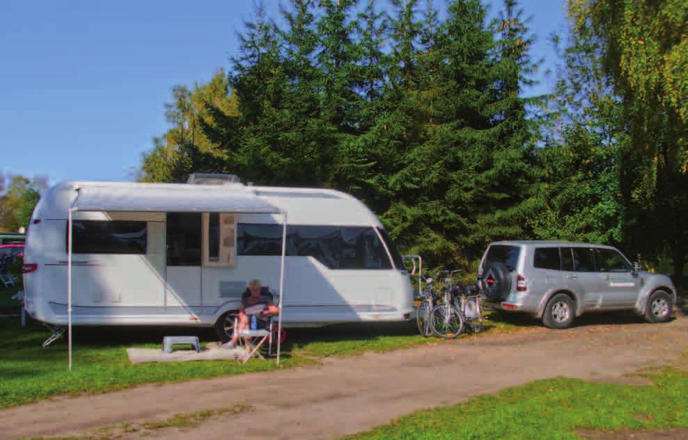 dm Camping- und