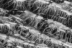 Hydrophobes Glasfaservlies Polypropylenvlies Rückhalteraten 0,2 µm in Gasen Speziell entwickelt für die Rückhaltung von Mikroorganismen, Partikeln und