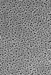 Großflächen-Filterkerze für einfache Handhabung und hohe Durchflussleistung Rückhaltung von kleinen Partikeln und Kolloiden in
