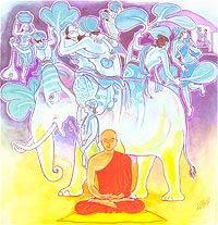 PC326 326. Xưa tâm ta (184) theo dục lạc, Tham ái, lại ưa nhàn du, Nay ta đã điều phục tâm, Như quản tượng lấy móc câu Chế ngự con voi luông tuồng. CT (184): Phật tự xưng.
