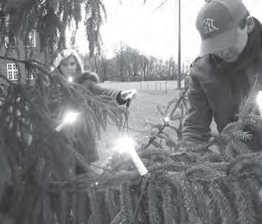 AWG spendete wieder Weihnachtsbaum Das Fest kann kommen Das war unsere Chance. Der Baum, diesmal eine Rotfichte, wurde abgeladen und aufgestellt.