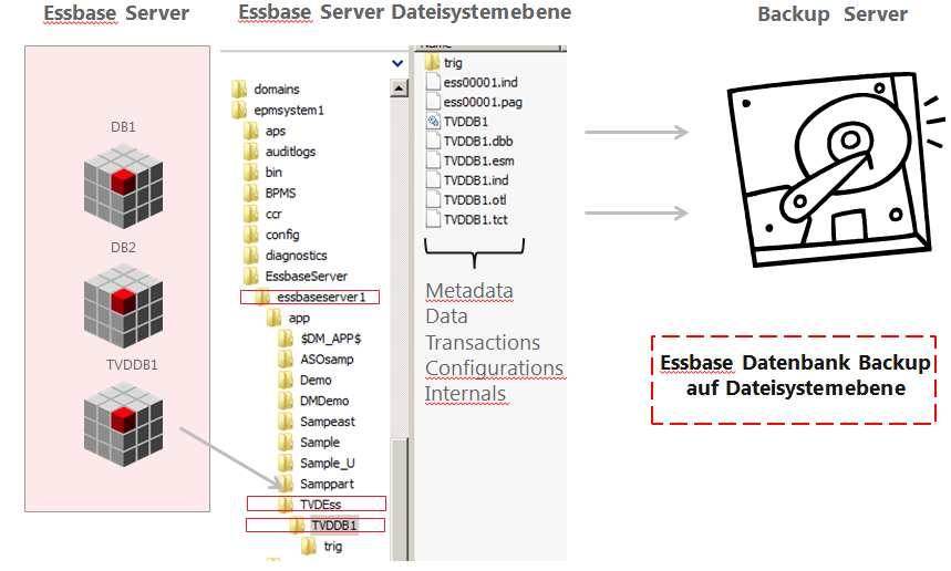 Essbase Backup Methoden Oracle Essbase bietet zwei Datenbankarten an, um spezifischen Anforderungen der Anwendung gerecht zu werden.