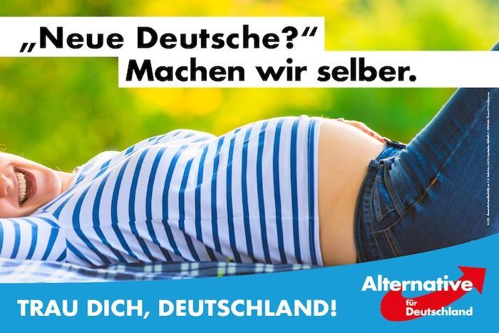 Plakat AfD 2017 (Bundestagswahl) Quelle: http://www.horizont.