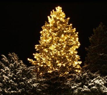 Abend Fackelwanderung zur Christmette Skijause am Nachmittag 4 Nächte im DZ (ENZIAN) inkl.