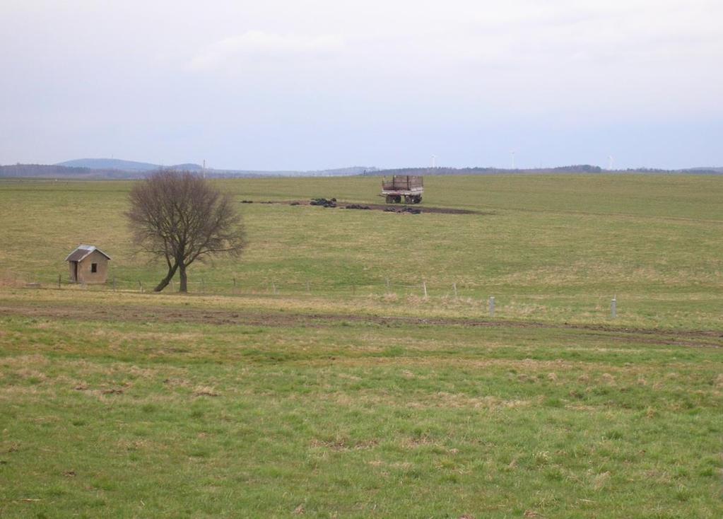 Landschaft vor dem Ausbau der S 177 (Foto: