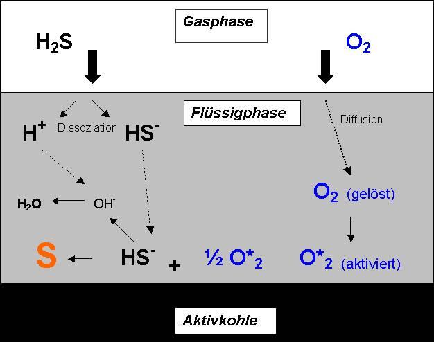 von Sauerstoff (O 2 *) in den Mikroporen ph-effekt Selektive Bildung von Schwefel (oder von Polysulfiden) in den Mikroporen bei hohem