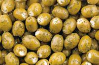 11519 Grüne Oliven, gefüllt mit Frischkäse Aromatisch, mit mildem Frischkäse gefüllt, feines Zitronenaroma: Erfrischender Snack, kreative Ergänzung auf