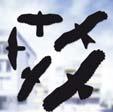 PALETTENDISPLAY 2 Vogelschutz - Aufkleber Anti-Collision Bird Stickers Silhouettes Anti-Collision Oiseaux 100 cm