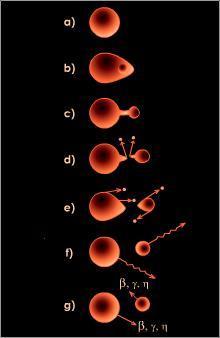 Struktur von Atomkernen Atomkerne sind eine Agglomeration von Nukleonen (Protonen und Neutronen), die durch eine Nebenvalenzkraft