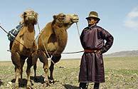 Karakorum ist die Wiege der Mongolei und die alte Hauptstadt des mittelalterlichen mongolischen Imperiums. Südlich von Karakorum, geht die Landschaft allmählich in die Gobi über.