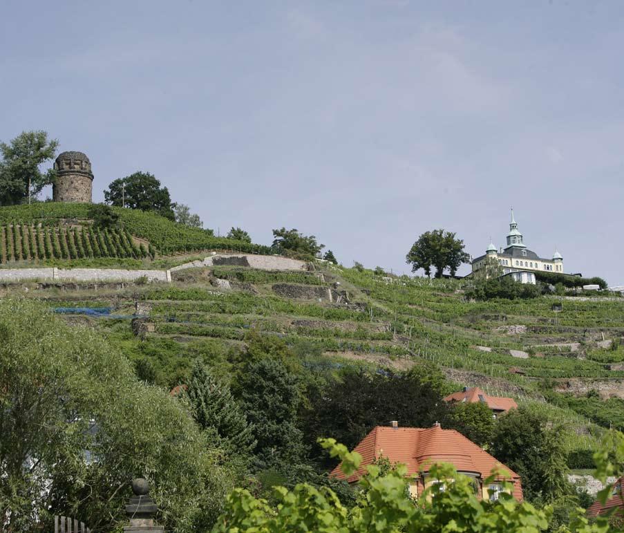 Radebeuls Sehenswürdigkeiten Blick über die Weinhänge aufs Spitzhaus. Hier vergnügte sich das sächsische Königshaus. Heute ist Radebeuls Wahrzeichen ein beliebtes Ausflugsziel.