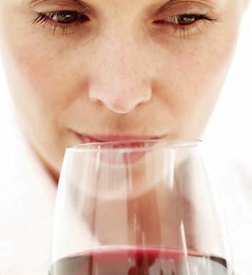 WineMaster Das Geheimnis einer optimalen Aufbewahrung Ihrer Grand Crus heißt: Stabilität. Temperatur spielt bei der Weinreifung eine entscheidende Rolle.