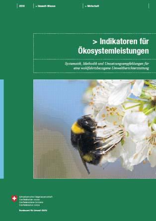 1. Zielsetzungen für Ökosystemleistungen in Deutschland Nationale Umsetzung eines internationalen Prozesses Internationaler