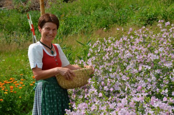 Stummer Christine und Alfred Kräuteralm Klaffer Freundorf 21 4163 Klaffer T 07288/71070 Mobil 0676/7214201 info@kraeuteralm.at www.kraeuteralm.at Kräuterprodukte, Gewürze, frische Kräuter, Essige, Tees,.