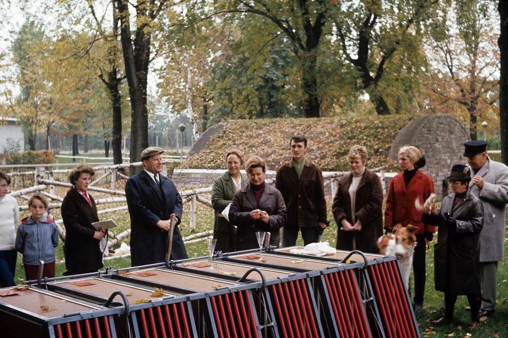 Zuchtbuch abdeckt. Training auf der Trabrennbahn Mariendorf 1965 von links: Frau und Dr. Baudrexler,?