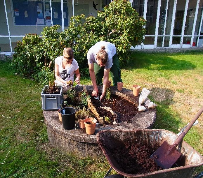 5: Nicola Wegener und Felix Blank beim Bepflanzen des Brunnenbeckens