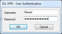 Anmelden am Terminalserver mit Windows 7 oder 8 Doppelklick auf die Ampel: Eingabe von Username und Password ergänzt mit dem