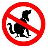 - 3 - ACHTUNG HUNDEHALTER Immer wieder gehen bei der Ortsverwaltung Klagen aus der Bevölkerung über die Belästigung durch Hunde ein.