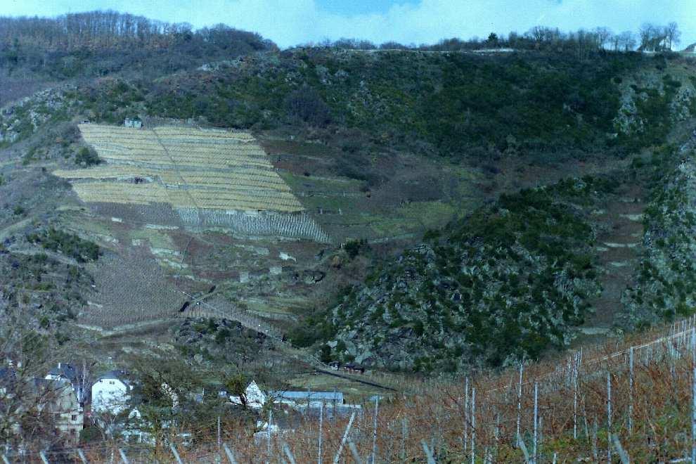 - 6 - FFH-Album Moselhänge und Nebentäler der unteren Mosel Klotten bis Karden II Ansicht der Hanglagen östlich von Karden vor knapp zwanzig Jahren.