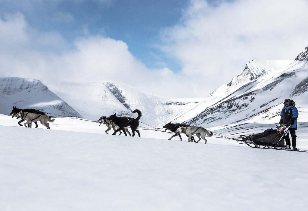 Grenzenloses Miteinander 300 km arktische Wildnis. 200 Schlittenhunde. Temperaturen bis -27 Grad unter dem Gefrierpunkt. Zelten unter Polarlichtern.