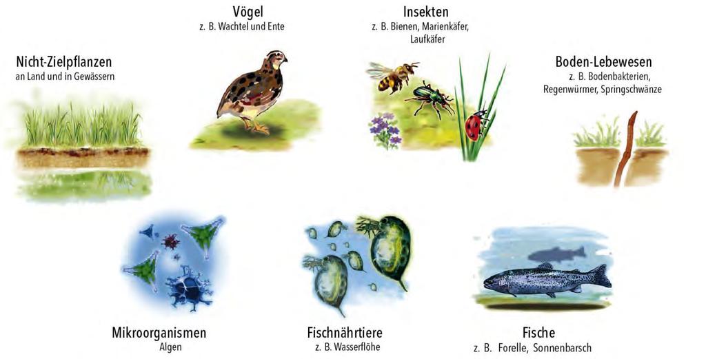 Wie viele Pflanzenschutzmittel verträgt die