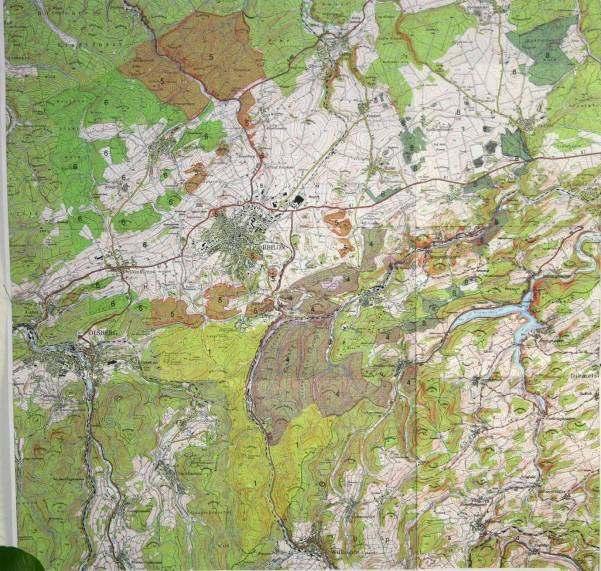 Situation Wild: Rotwildbewirtschaftungsbezirke im Stadtwald Rotwildvorkommen im Freigebiet Ziel der Rotwildbewirtschaftungsbezirke in NRW ist es: die Wildschäden auf festgelegte Waldgebiete zu