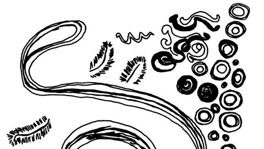 Bild 7: Zeichnung einer Sequenz aus der Yajé-Vision eines Tukano (Barasana-Gruppe) (nach: Dronfield, S. 381).