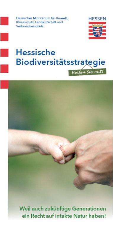 Umsetzung - bisher Einrichtung eines Aktivitätenkalenders auf der HBS-Webseite Erstellung von Roll-ups und Flyern Aufnahme der Biodiversität als Schwerpunktthema der Nachhaltigkeitsstrategie Hessen