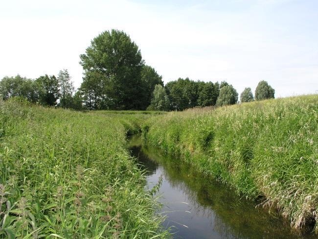 und Süderbeste bei Blumendorf im Kreis Stormarn und fließt in nordöstlicher Richtung bis zu ihrer Mündung in die Trave in Bad Oldesloe.