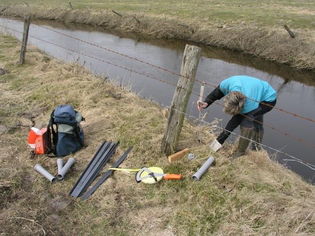 Abb. 3: Dauervermarkung der Untersuchungsstrecken an der wasserseitigen Uferböschung vor Beginn der Geländearbeiten im Frühjahr 2010 Das Untersuchungsprogramm