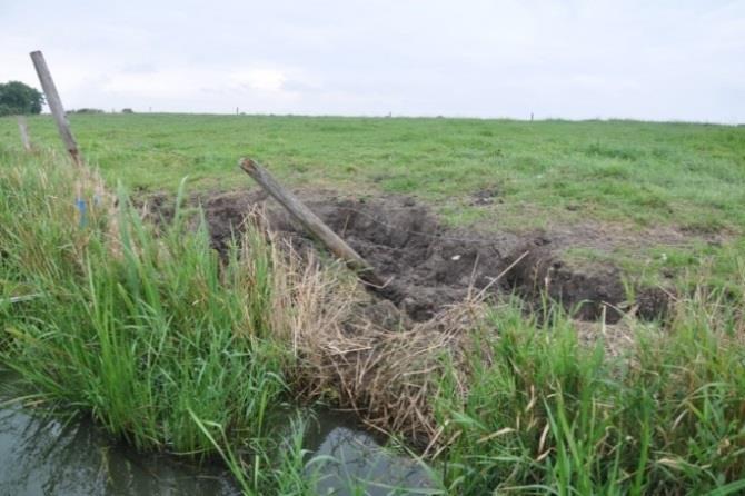 Im Zuge der zahlreichen Geländeuntersuchungen und vor Ort-Termine konnten gerade an diesen beiden Gewässern Einflüsse festgestellt werden, die teils starke Belastungen für die Biozönosen darstellen