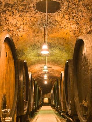 weinerlebnis domäne wachau erleben Kellerführung & Weinverkostung Die Domäne Wachau zählt zu den zehn besten Weingütern Österreichs.