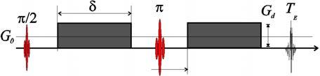 Die erweiterte Gleichung dm xy dt = ig~g ~rm xy M xy T 2 + D ~ 2 M xy wird als Bloch-Torrey Gleichung bezeichnet. Eine Diffusionsgewichtung erhält man z.b., indem man zwei Gradientenpulse in einem zeitlichen Abstand D anlegt.