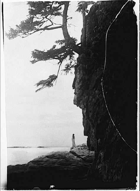 Es war wiederum David E. James,5 der auf ein älteres kalifornisches Vorbild für Murphys Naturszenerie verwies, auf die Fotographien von Anne Brigman (1869-1950).