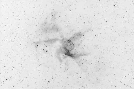 NGC 2359 in Canis Maior H alpha narrowband other RA Dek comments NGC2359 Thor's Helm, Duck nebula 07 18 36-13 12 00 2359 ist eine stark strukturierter