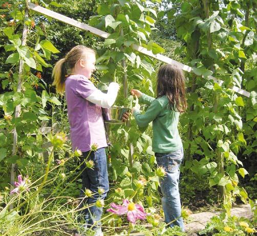 In den vergangenen 10 Jahren haben viele Kinder und Jugendliche verschiedener Nationalitäten im Garten mitgewirkt, gebaut, geschraubt, gepflastert, gepinselt - und nicht zuletzt gesät, gepflanzt und