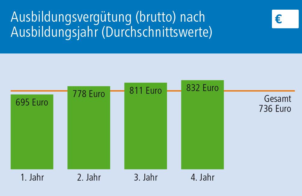 4. Die wichtigsten Ergebnisse: Ausbildungsvergütung Im Durchschnitt (über alle Berufe und Ausbildungs-jahre) haben die befragten Auszubildenden im Monat 736 Euro Ausbildungsvergütung erhalten.