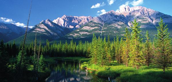 Westkanada und Alaska Eine Vielfalt an Naturschönheiten Atemberaubende Naturerlebnisse, tiefe Wälder, klare Seen und weltoffene Städte Kanada ist vielfältig!