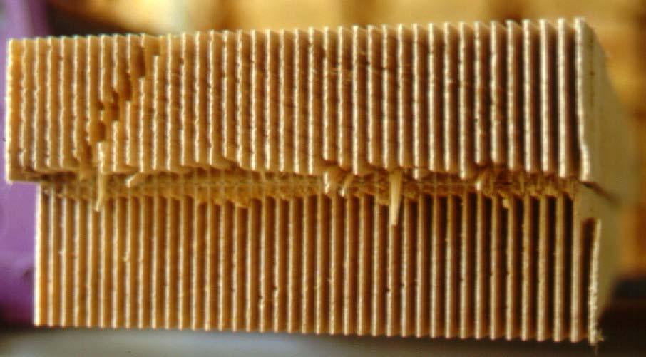 Teil B 6 Die Herstellung von Brettschichtholz aus Pappel Abbildung 30: Bruchbild eines Scherbruches in den Zinkenflanken Tabelle 6-10: Die Keilzinkenbiegefestigkeit des Untersuchungsmaterials Nr.