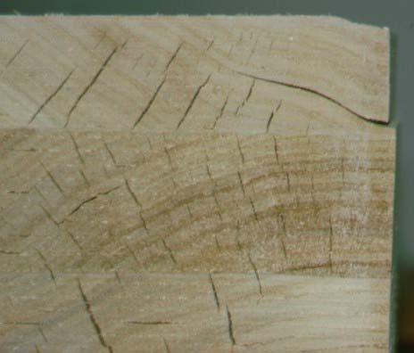 Dies hat zur Folge, dass die äußeren Schichten des Holzes sehr schnell trocknen, während im inneren des Holzes über lange Zeit noch sehr hohe Feuchtegehalte vorhanden sind.