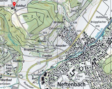 Grosse Weideparzelle mit Sandplatz (20 m x40 m) Verkaufsrichtpreis Fr. 1 850 000.- Bezugstermin nach Vereinbarung Gemeinde Neftenbach Distanzen Neftenbach 2.