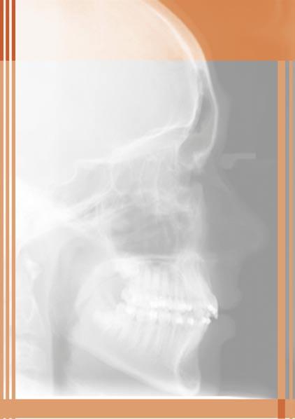 Deutsche Arbeitsgemeinschaft für Röntgenologie in der DGZMK 19. Jahrestagung der Schweizerischen Gesellschaft für Dentomaxillofaziale Radiologie 40.