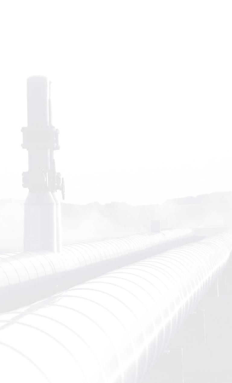 Auspuff-Filter AF In den Auspuff-Filtern werden Öl-Nebel, Aerosole und schädliche Substanzen aufgefangen.