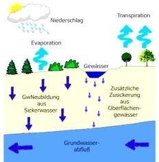 Grundwasser - Prozessbeschreibung Prozesse der Grundwasserneubildung Die Grundwasserneubildung kann entweder durch Versickerung von Niederschlägen oder über die Versickerung von Oberflächenwasser