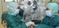 Die Kleine Welt der Handchirurgie - junge Subspezialisierung - Hohe Anforderungen an Grundlagenwissen (Anatomie, Histologie), technische Ausbildung (OP-Verfahren,